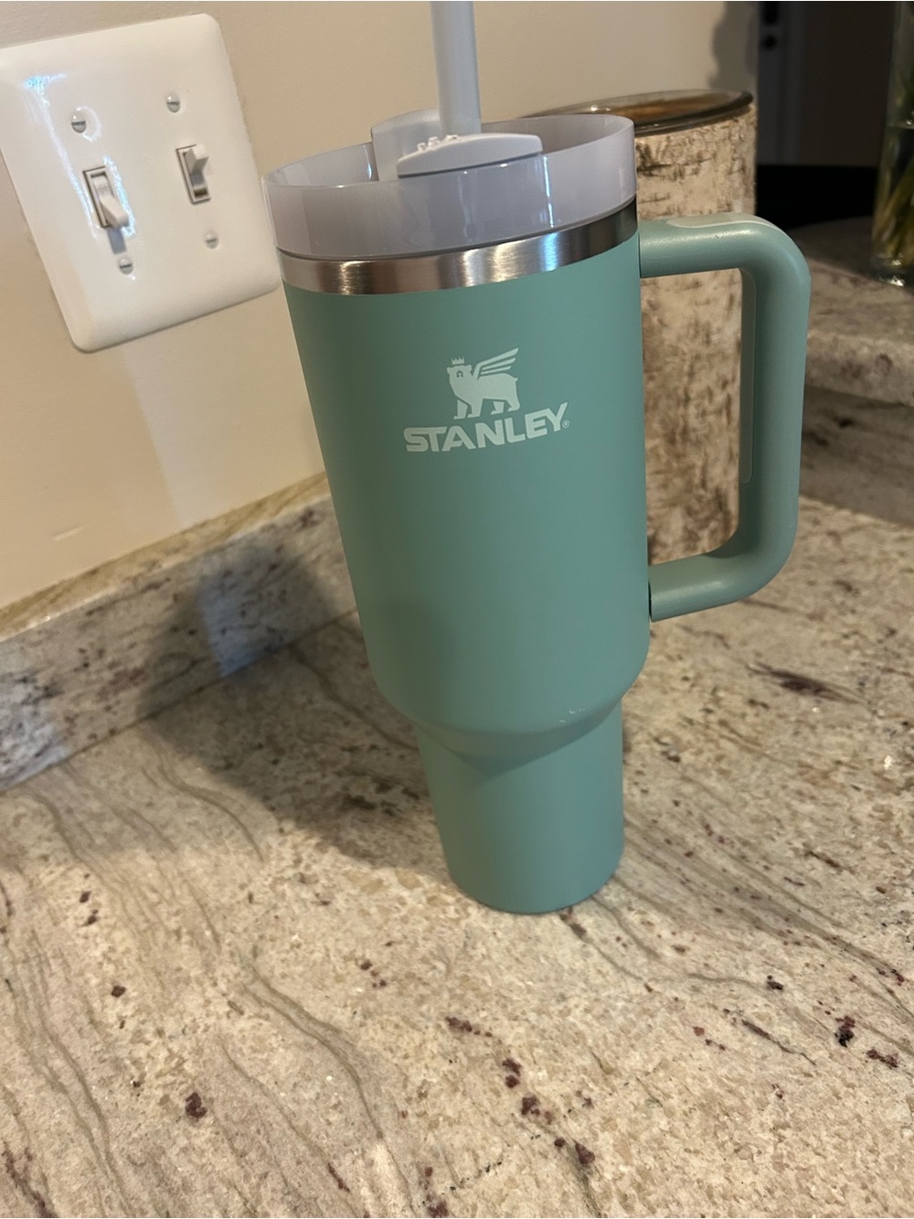 Stanley 40oz Sage Green Insulated Travel Tumbler with Handle